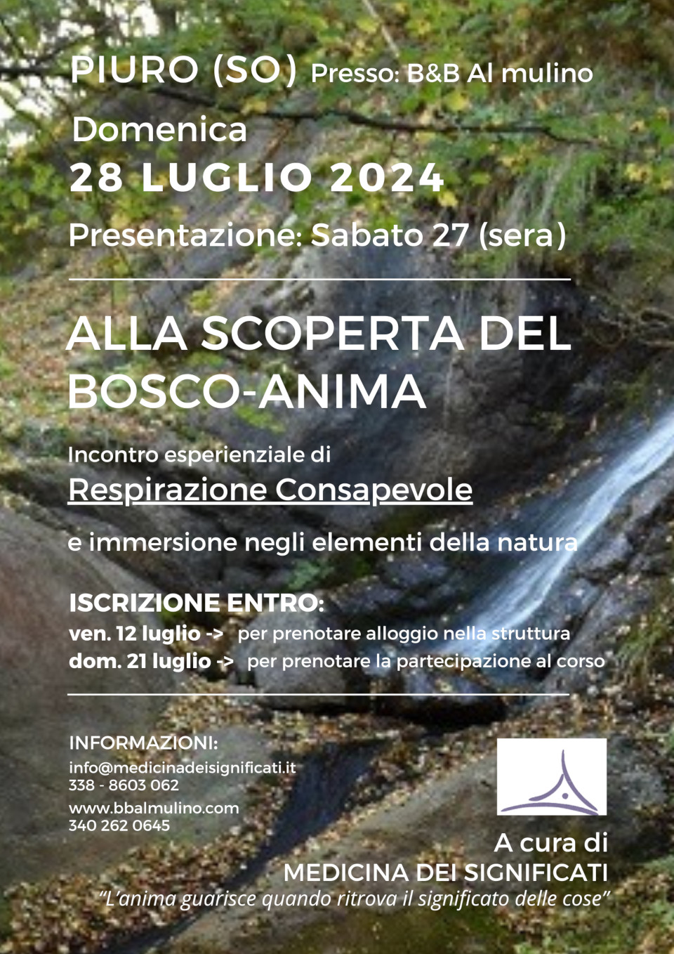 Alla scoperta del bosco-anima